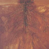 Cover of Rise and Fall of the Tomatoes